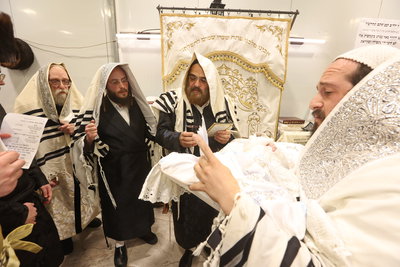 שמחת הברית בשאץ דרהביטש