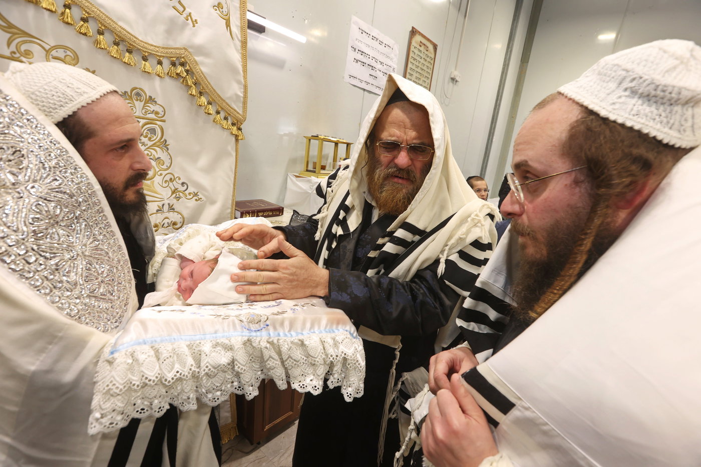 שמחת הברית בשאץ דרהביטש