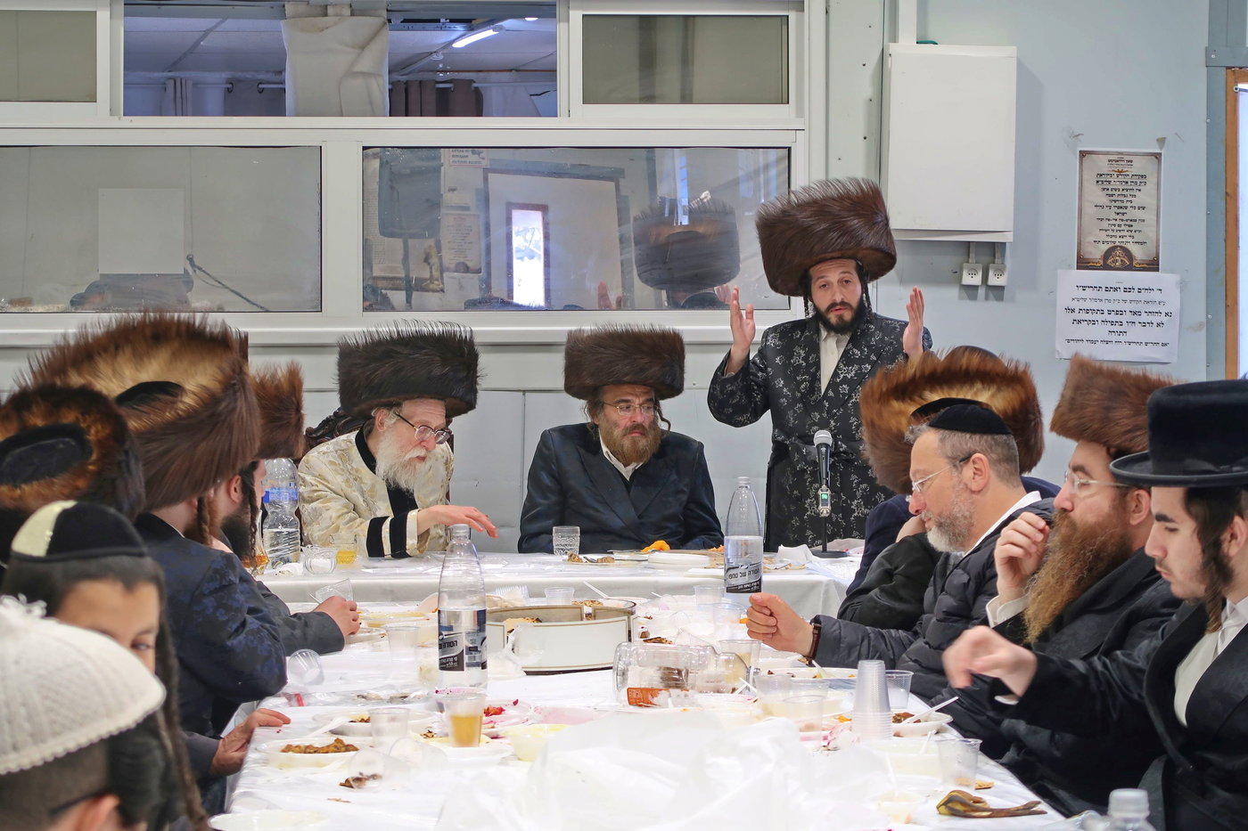 שמחת הברית בשאץ דרהביטש