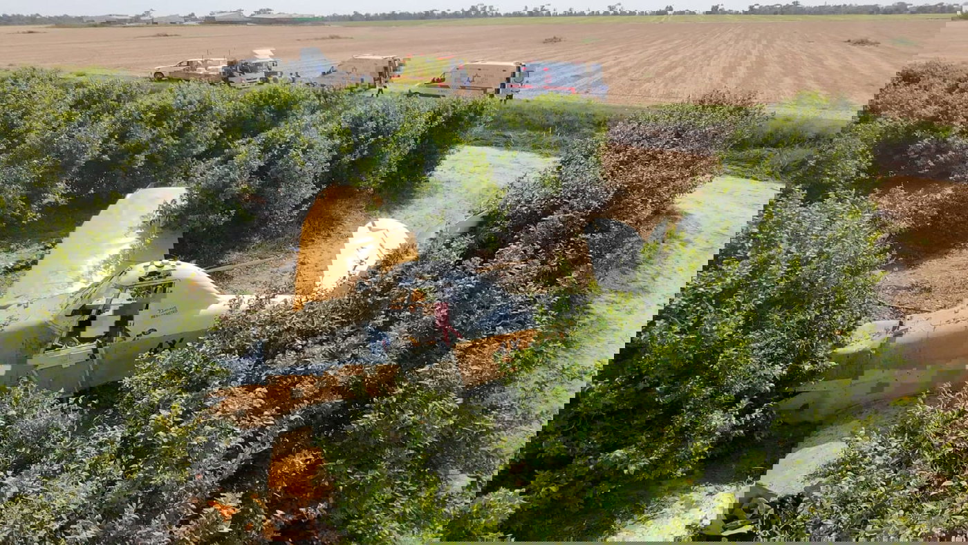 המטוס שהתרסק