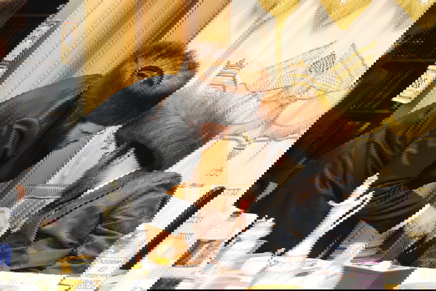 הילולא קדישא בצאנז ז'ימגראד