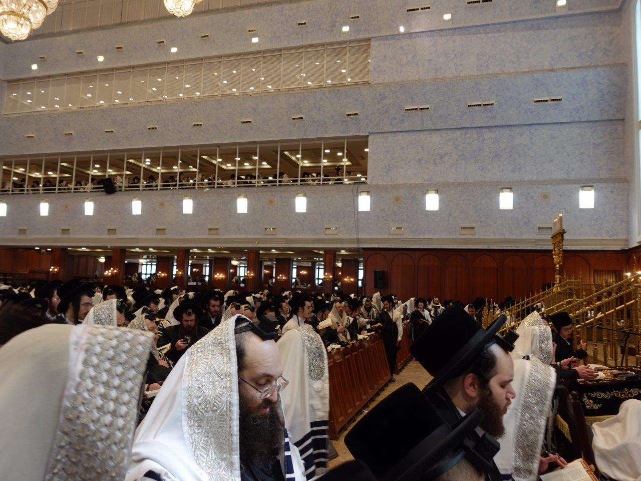 שמחת הברית בחצה"ק בעלזא