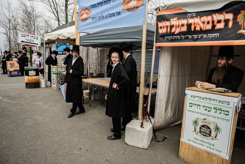 המונים בעליה לציון ביומא דהילולא