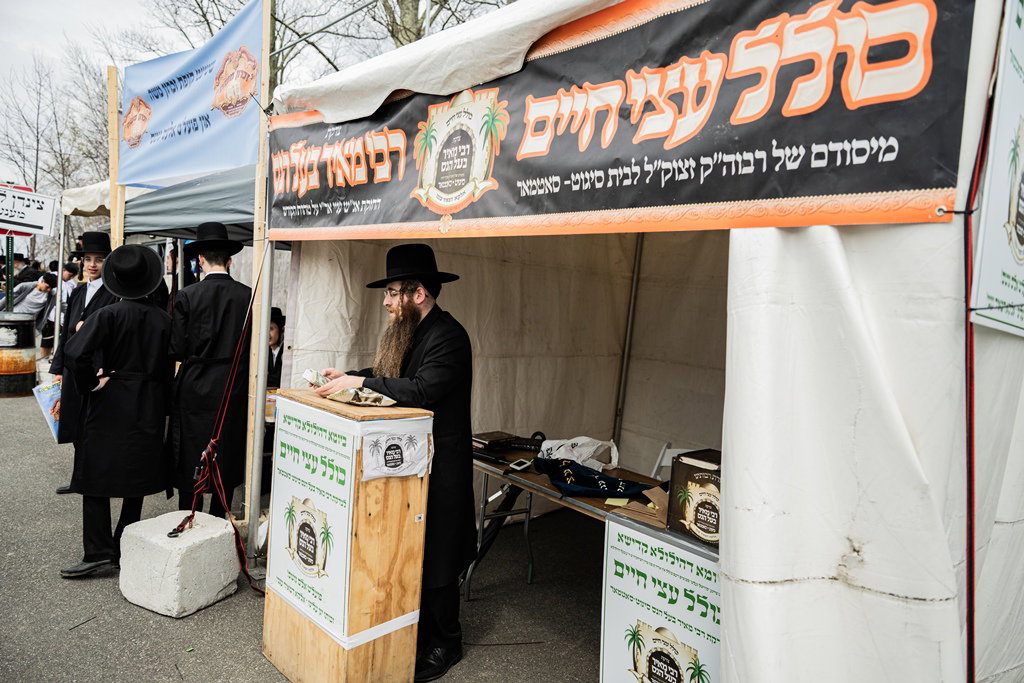 המונים בעליה לציון ביומא דהילולא