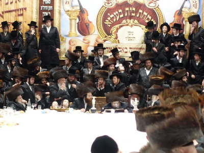 שמחת הברית בחצה"ק בעלזא