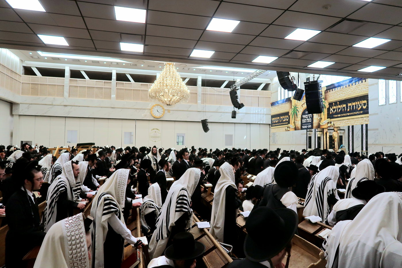 האדמו"ר מסאטמר בתפילת שחרית ולחיים ביומא דהילולא