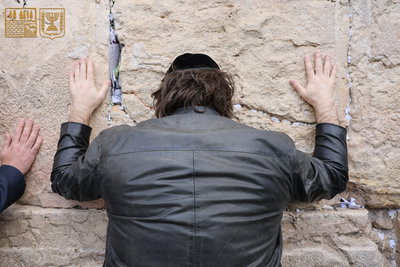 הבקשה החריגה של נשיא ארגטינה מיליי - וכך נראה הביקור שלו בכותל