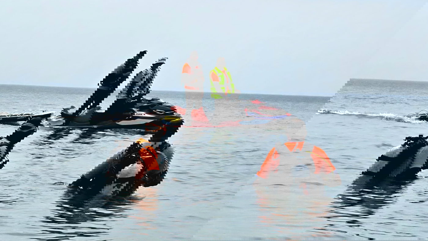 מהחיפושים בשבוע האחרון