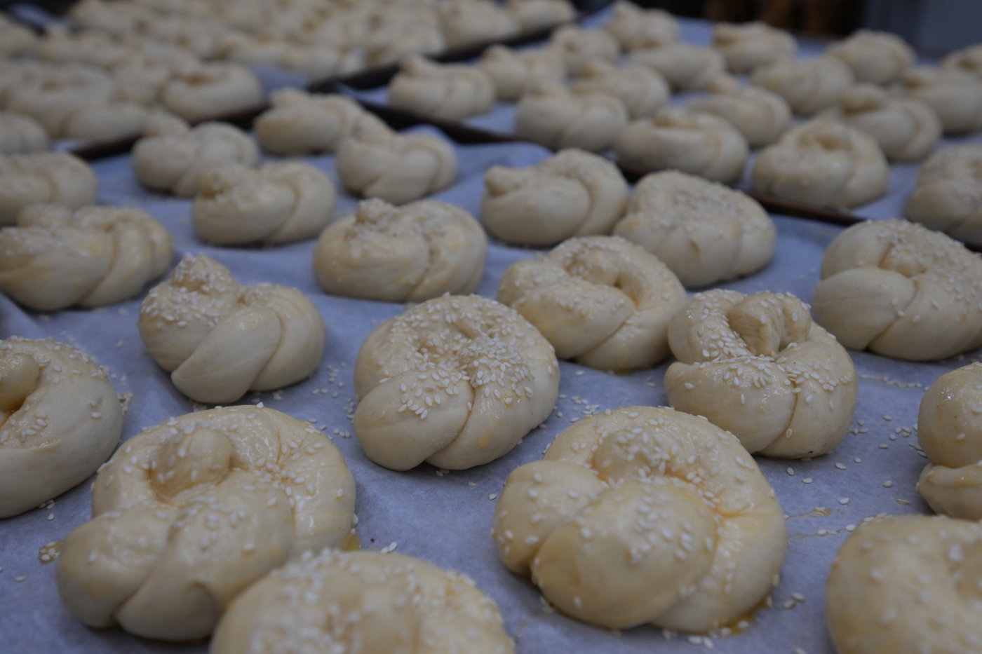 קרעסטיר תשפ"ו 