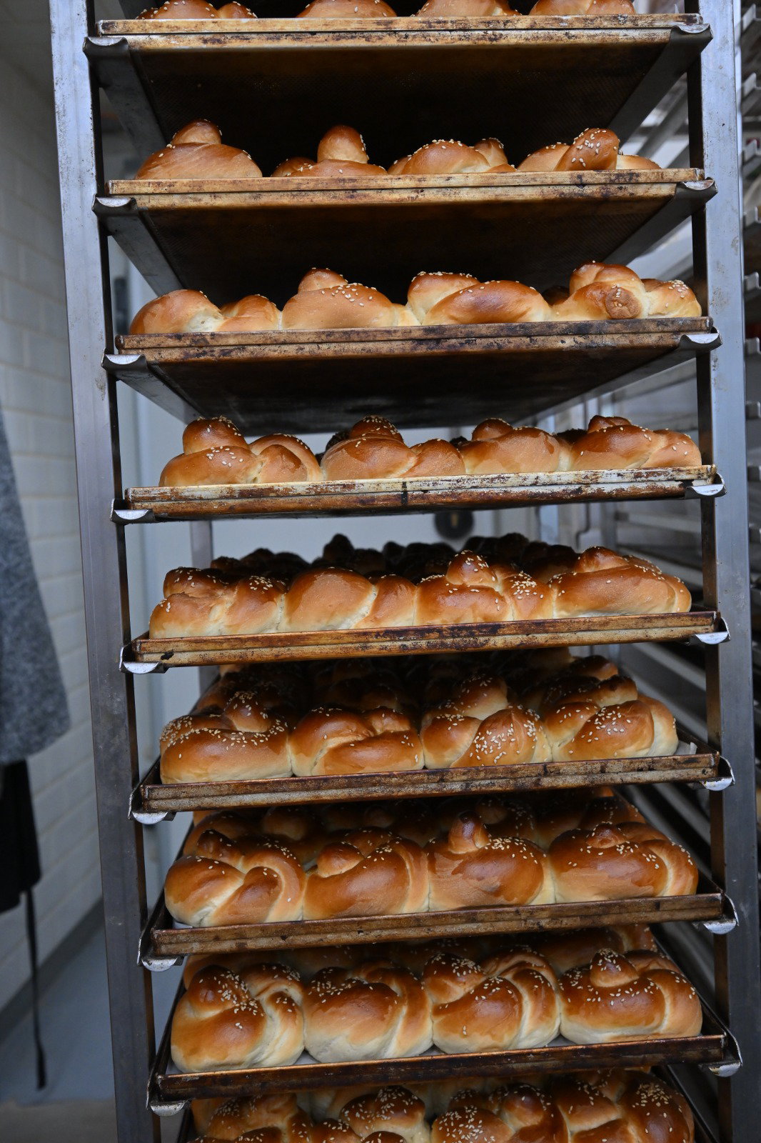 קרעסטיר תשפ"ו 