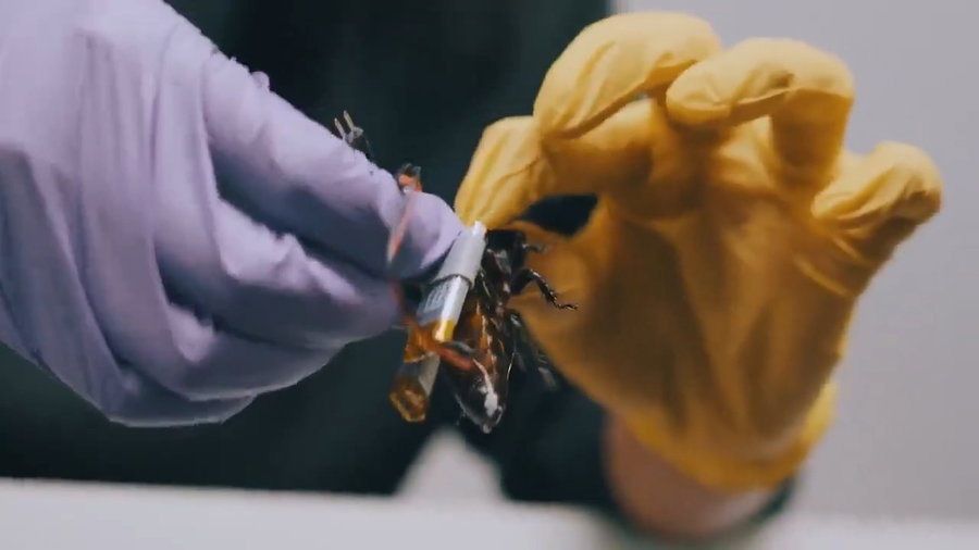 חברת הסטארט-אפ הגרמנית SWARM Biotactics