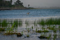 הכנרת בסוף השבוע