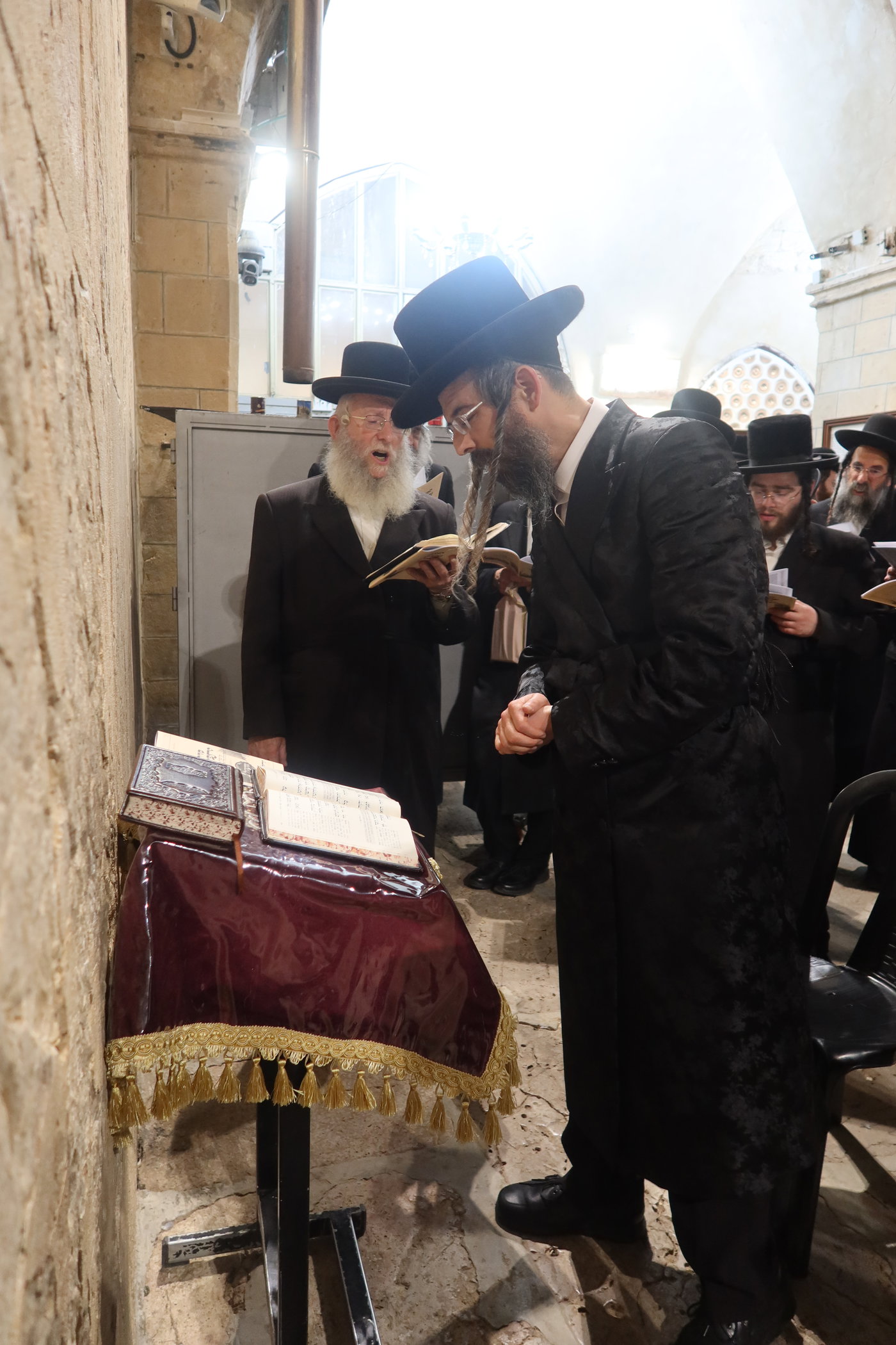 חסידי זוועהיל בעיר האבות חברון