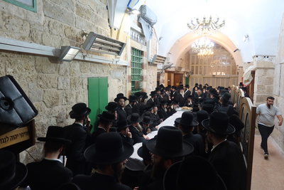 חסידי זוועהיל בעיר האבות חברון