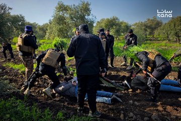 התפיסה של מחבלי חיזבאללה בסוריה