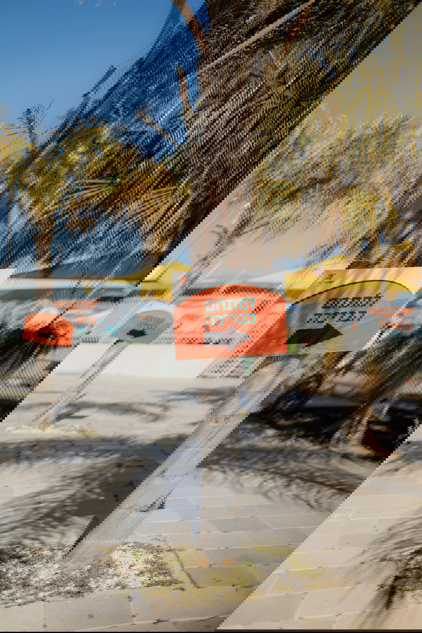 בין הזמנים חודש ניסן 