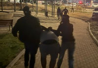 מעצר המפריעים