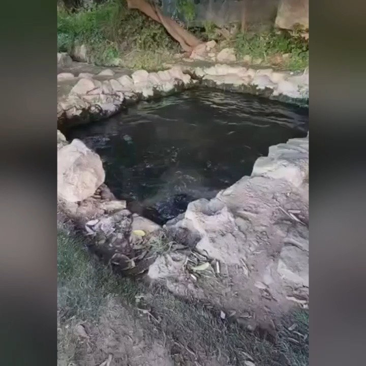 עין מקלף המעין הטוב בהרי ירושלים + הוראות הגעה