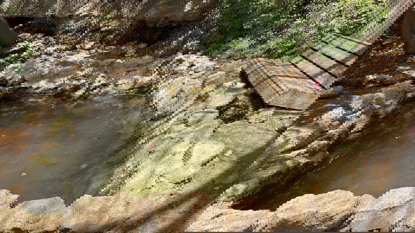 מעיין עין מקלף