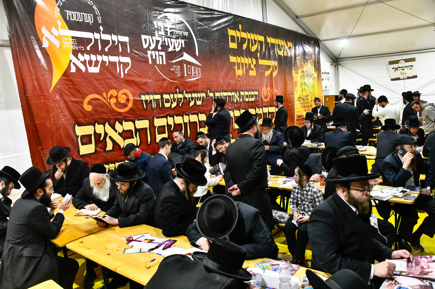 הילולא קדישא בקראסטיר - תשפ"ו