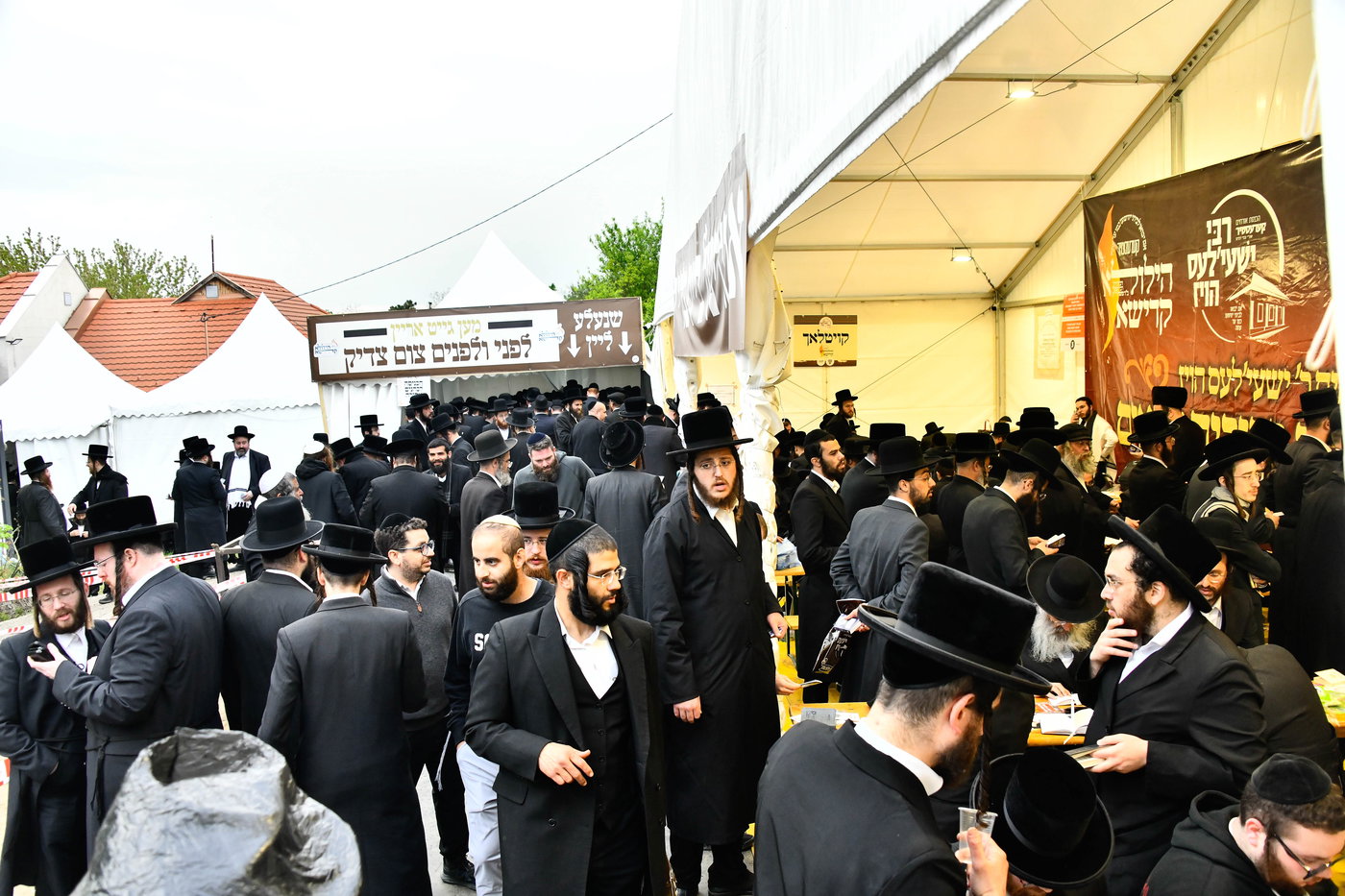 הילולא קדישא בקראסטיר - תשפ"ו