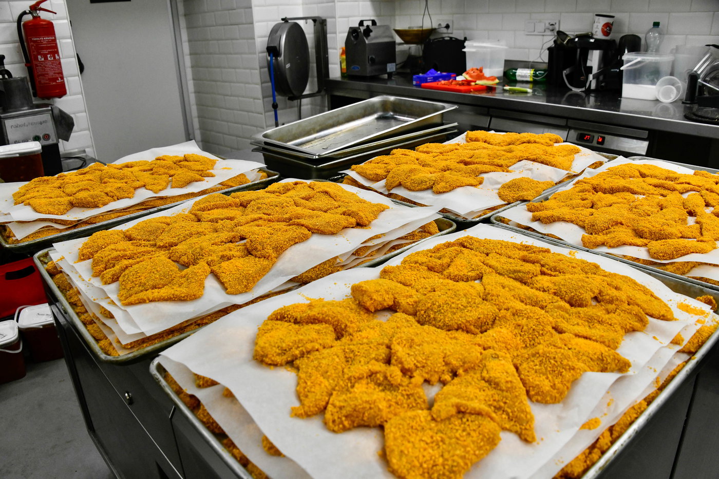 הילולא קדישא בקראסטיר - תשפ"ו