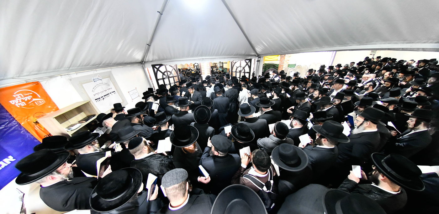 הילולא קדישא בקראסטיר - תשפ"ו