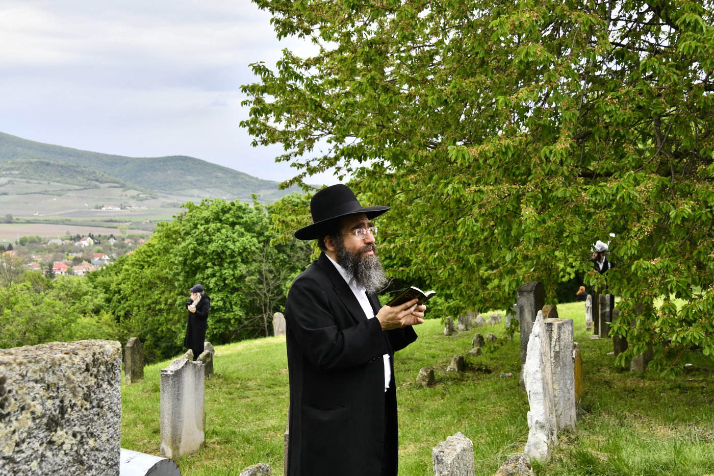 הילולא קדישא בקראסטיר - תשפ"ו