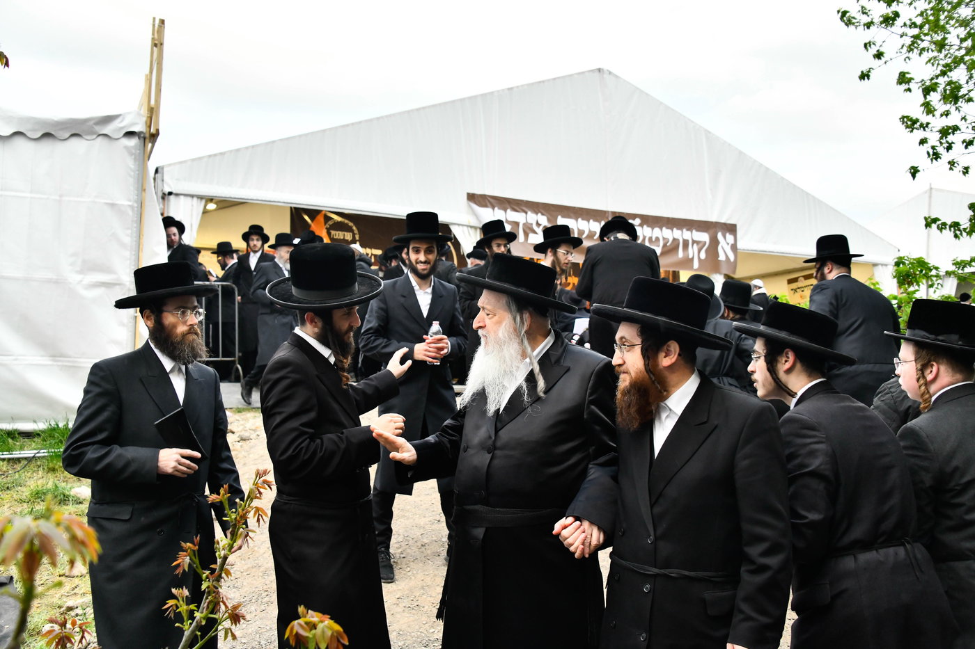 הילולא קדישא בקראסטיר - תשפ"ו