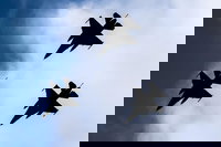 המטס החסר שצולם מראש