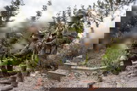 כוחות חטיבת הצנחנים בבינת ג'בייל