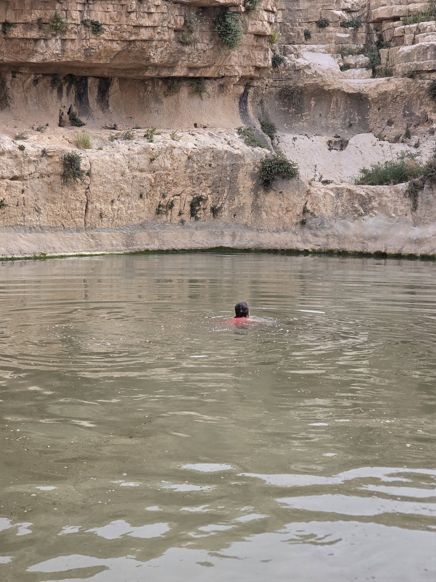 ישראל שפירא מטייל בגוש עציון