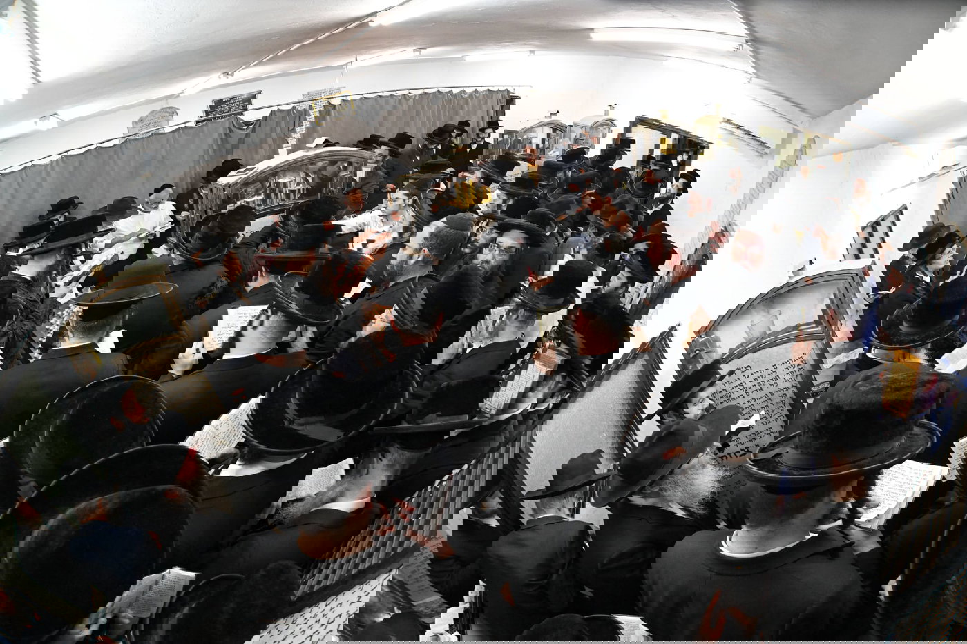 העליה לציון בשנה שעברה