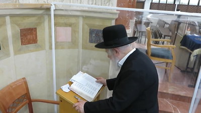 ברגשי קודש: הגאון רבי יצחק זילברשטיין בספירת העומר | צפו