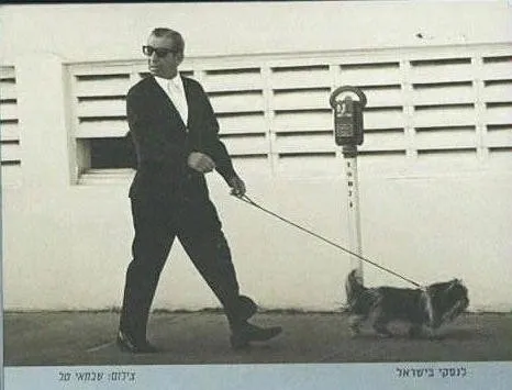 מאייר לנסקי בתקופת שהותו בישראל