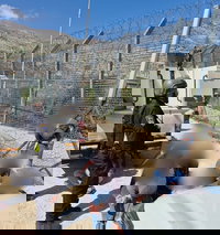 מחזירים את הקבוצה לישראל