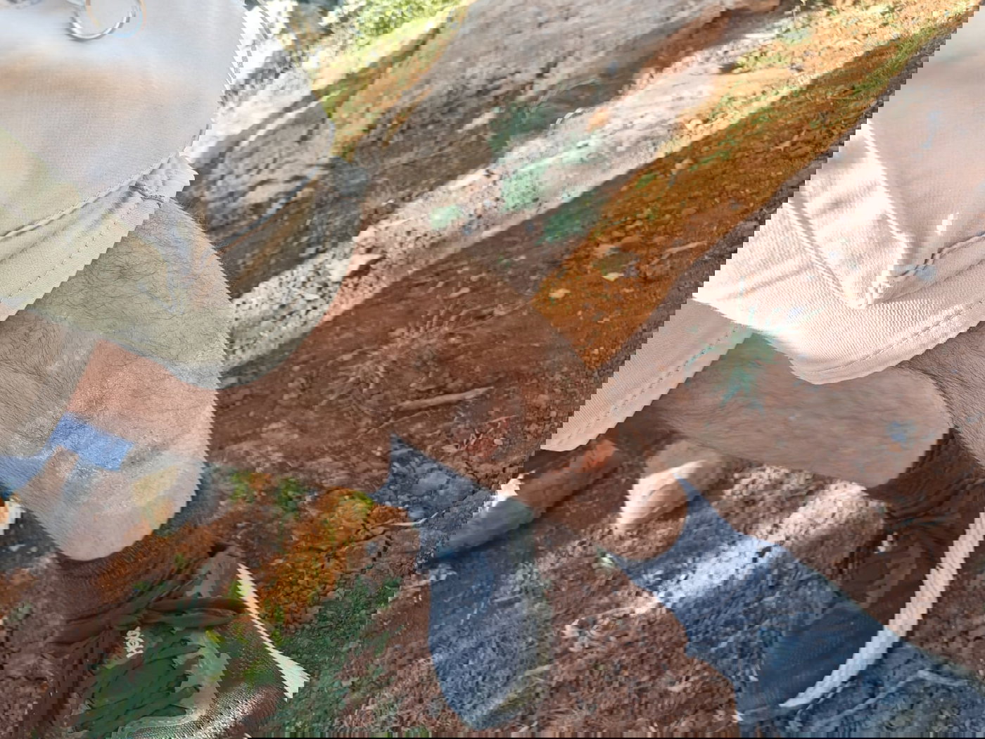 לינץ' מזעזע: עשרות פורעים תקפו קבוצת מטיילים מקרוב בסלעים ואבנים