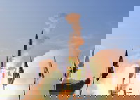 מערכת הטילים Arrow