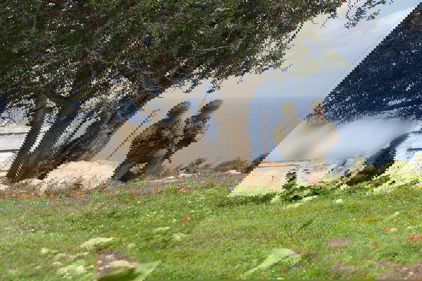 חטיבת חשמונאים בלבנון 