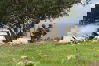 חטיבת חשמונאים בלבנון 