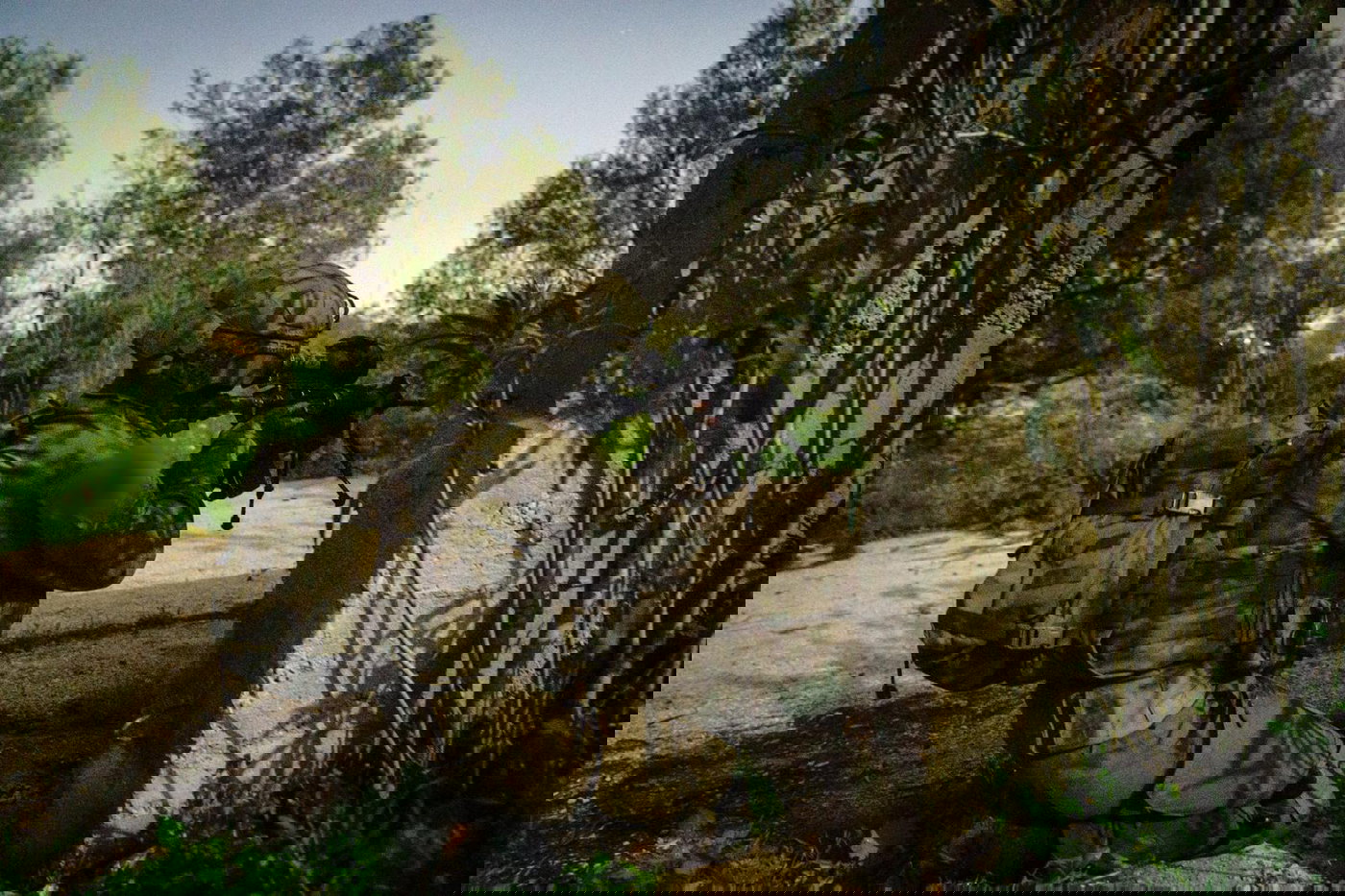 חטיבת חשמונאים בלבנון 