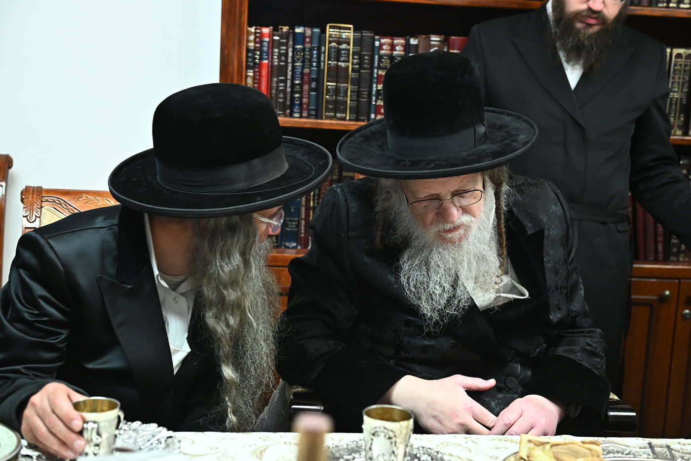 שמחת בית מודז'יץ - נדבורנה - יארוסלב - אופלה