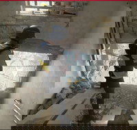 זירת הנפילה