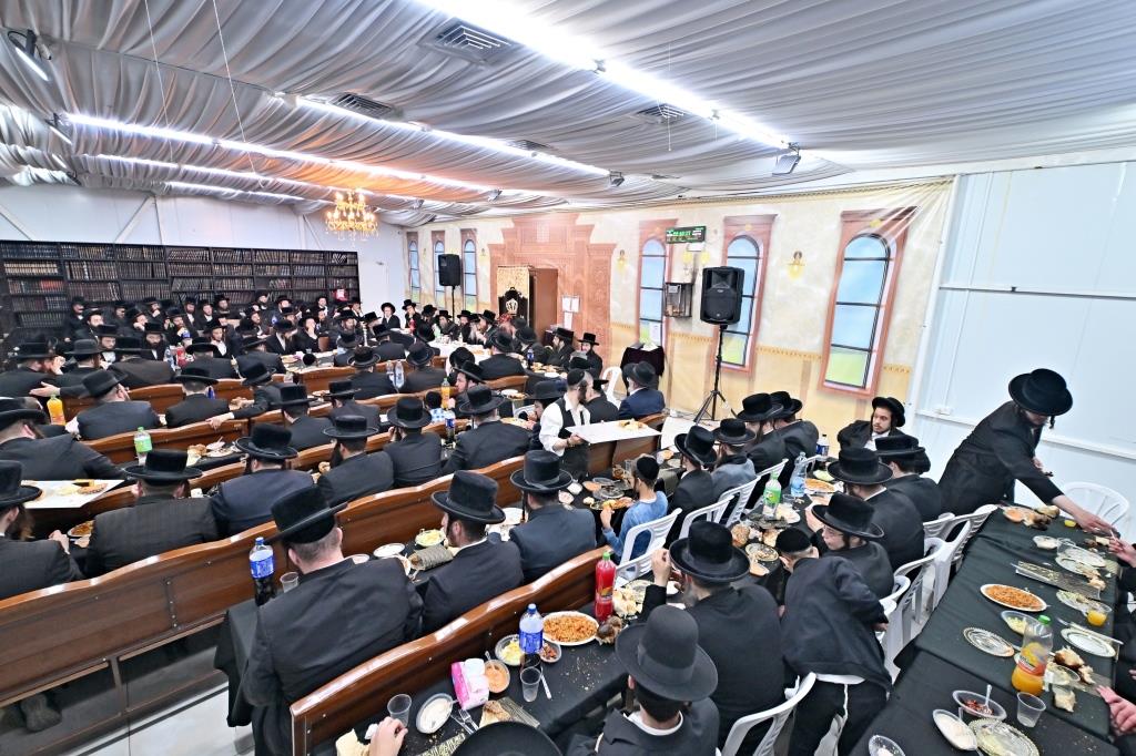 הילולא קדישא בספינקא בית שמש