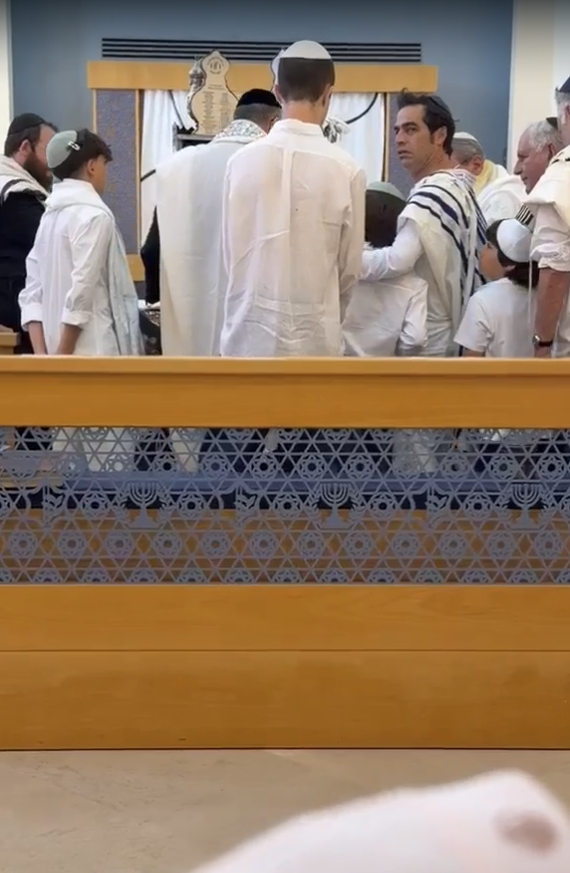 אביב גפן בקריאת השם