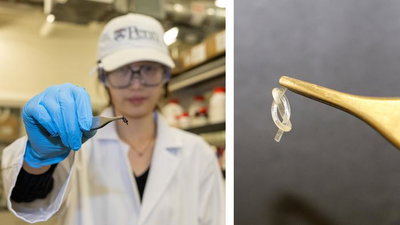 הרובוטים הזעירים