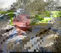 הותר לפרסום: החייל עידן פוקס הי"ד, נפל בקרב בדרום לבנון