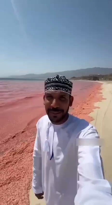 החופים נצבעו בדם - עומאן