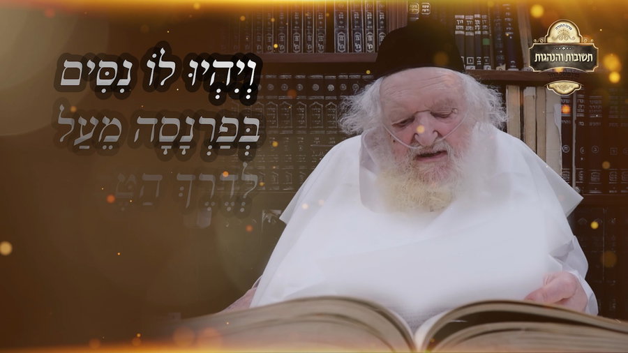 פוסק הדור מדבר בגלוי על הפסד וריווח: "פרנסה בשפע רב מאוד!"