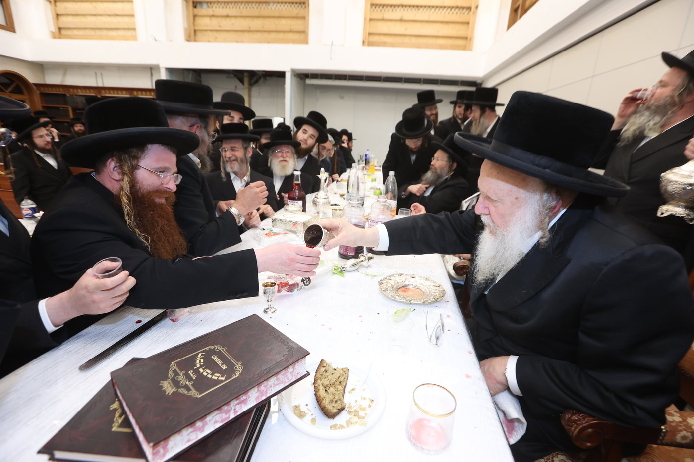 הילולא קדישא בקאמארנא בית שמש